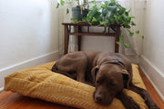 XL Dog Bed Multi-Pattern on Mustard Mudcloth Fabric.