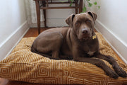 XL Dog Bed on Musturd Mudcloth.