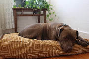 XL Dog Bed on Musturd African Mudcloth .